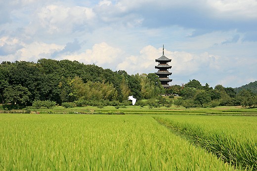 e0190885_205636.jpg