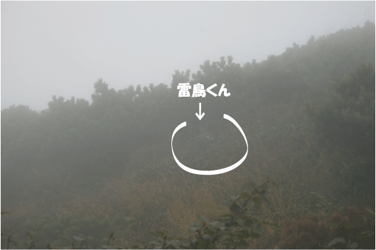 c0171790_17412922.gif