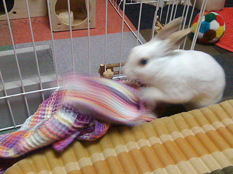 f0201191_18554416.jpg