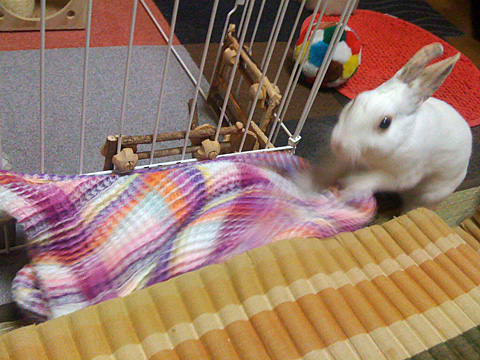 f0201191_18562892.jpg
