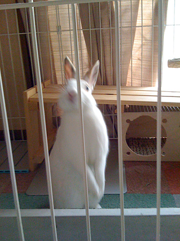 f0201191_1963816.jpg