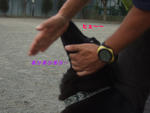 e0060693_21252989.jpg