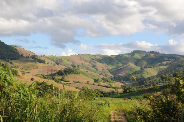 e0134695_1253849.jpg