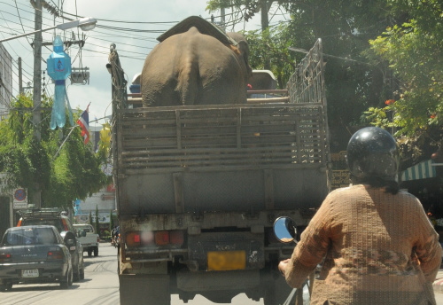 e0134695_126687.jpg