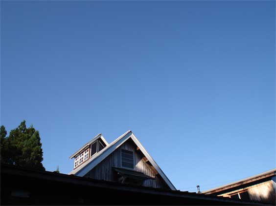 a0061599_7544547.jpg