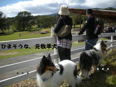 f0081100_2501872.jpg