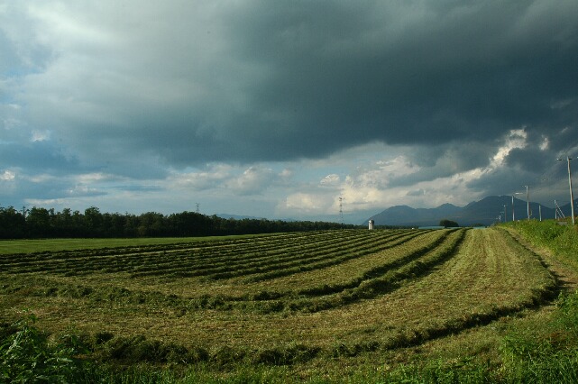 d0127101_2181926.jpg