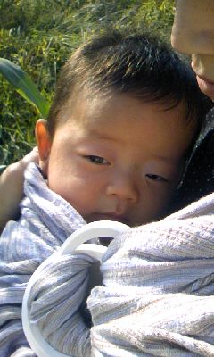 f0032403_21503232.jpg