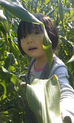 f0032403_21503247.jpg