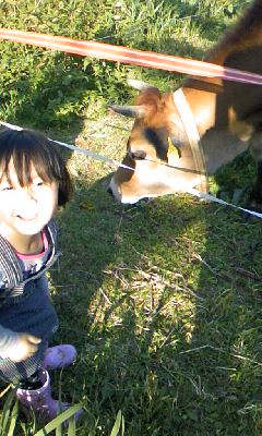 f0032403_21503252.jpg