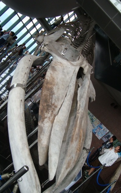 c0052304_18273369.jpg
