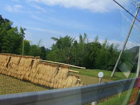 c0170905_5462423.jpg