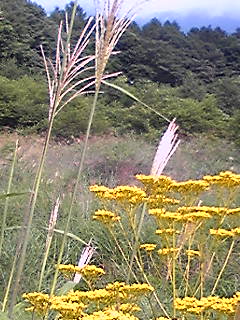 c0097806_19263065.jpg