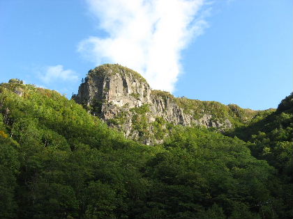 f0041606_1424734.jpg