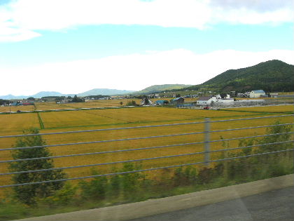 f0041606_17535956.jpg