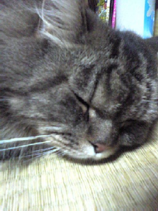 b0000509_19521632.jpg