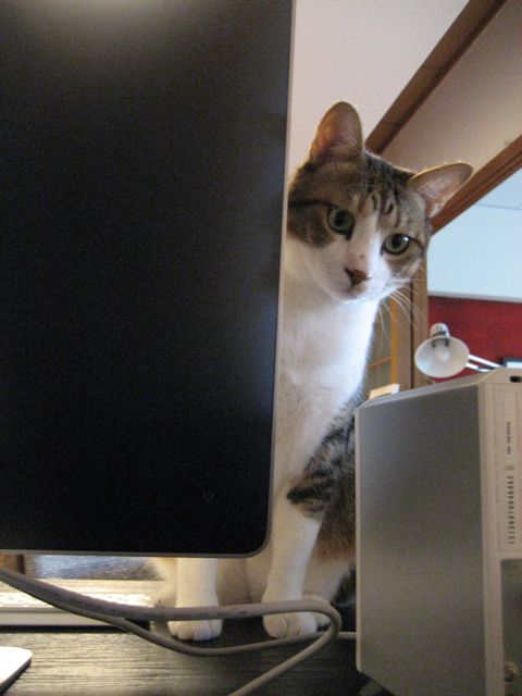 c0114110_15501984.jpg