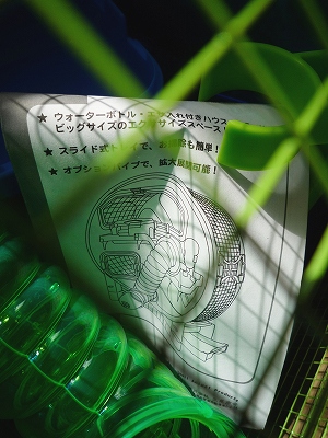 b0181615_11495859.jpg