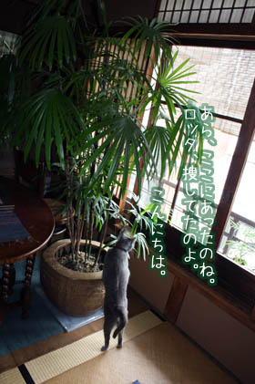 e0156015_11341131.jpg