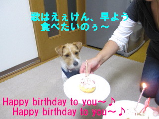 c0185516_10162692.jpg