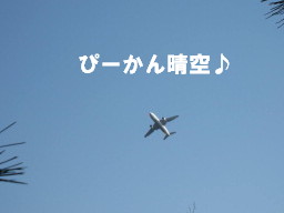 c0185516_10243556.jpg