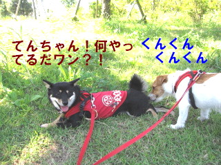 c0185516_10322744.jpg