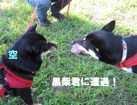 c0185516_1102165.jpg
