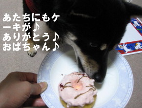 c0185516_1255309.jpg