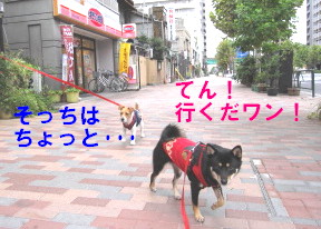 c0185516_137457.jpg
