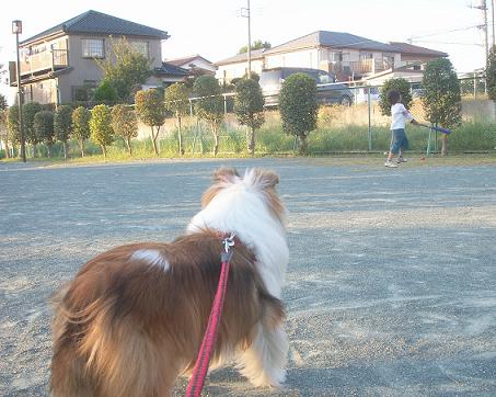 a0053420_0384427.jpg