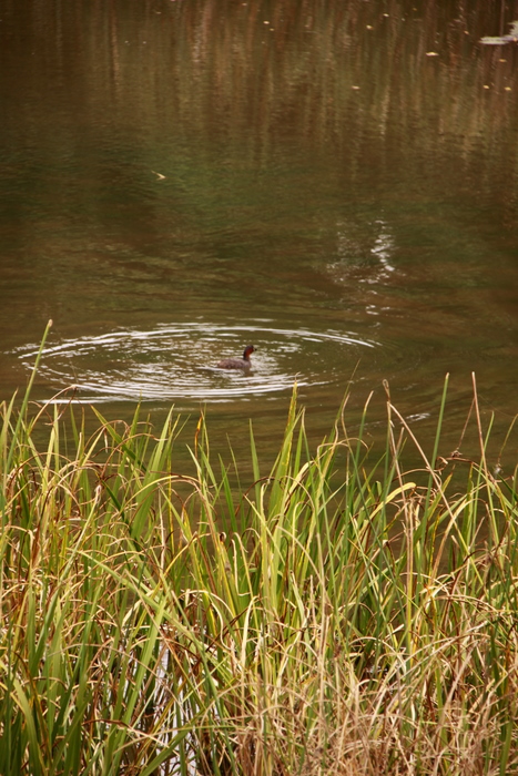 b0165522_11465645.jpg