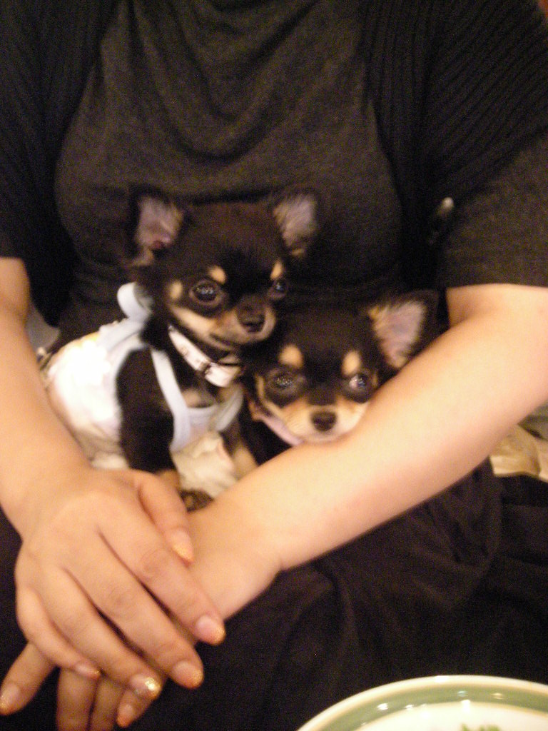 c0149622_0474429.jpg