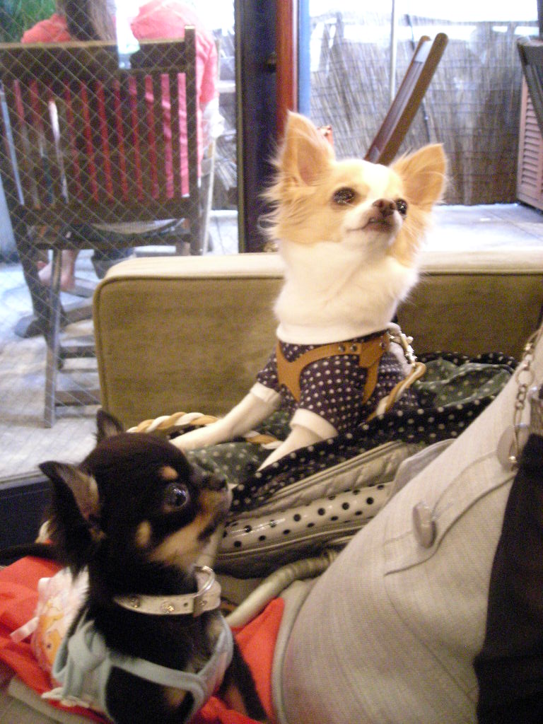 c0149622_0494062.jpg