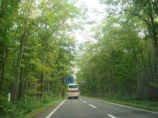 f0181524_22192462.jpg