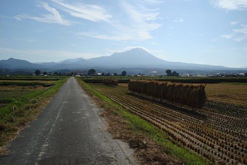 f0007926_1632467.jpg