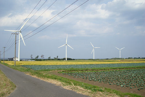 f0007926_16531766.jpg