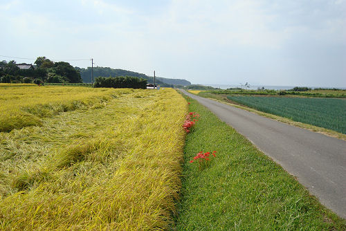 f0007926_1653378.jpg