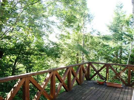 c0139527_0323595.jpg