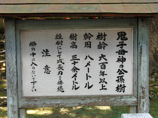f0180529_45329.jpg