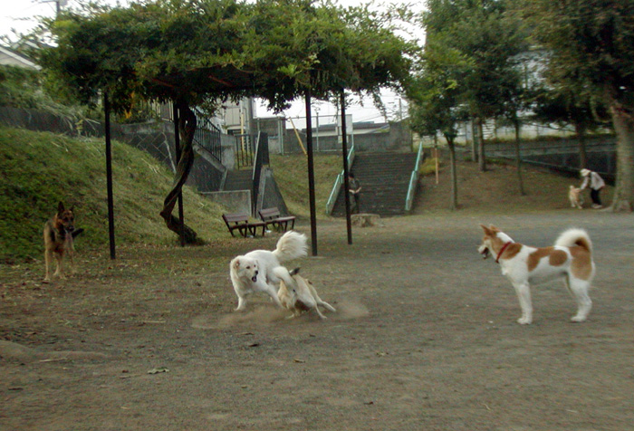 c0192930_17292241.jpg