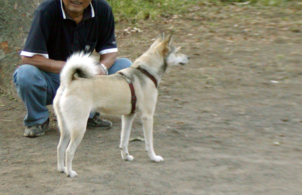 c0192930_17343150.jpg