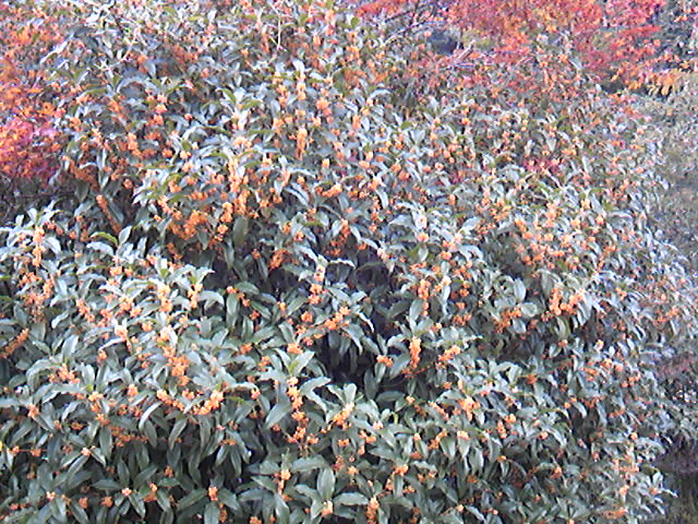 d0103632_13471558.jpg