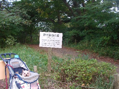 f0002833_20414984.jpg