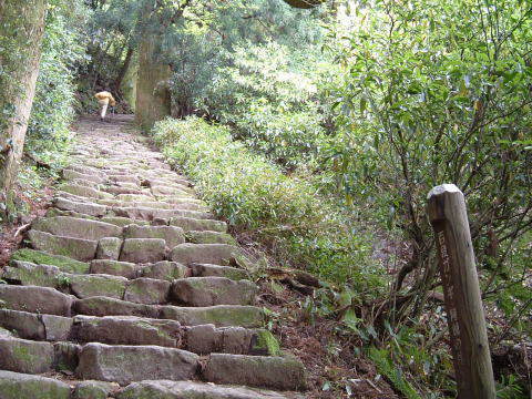 c0077338_20493916.jpg