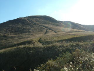 c0077338_21375390.jpg