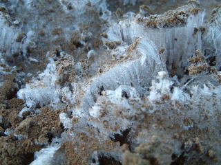 c0077338_21434019.jpg