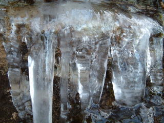 c0077338_2145576.jpg