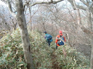 c0077338_21463997.jpg