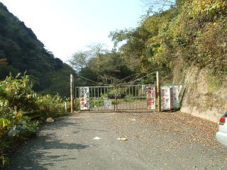 c0077338_2151024.jpg
