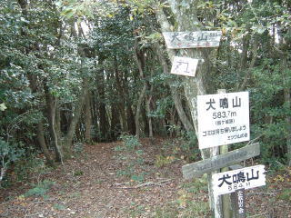 c0077338_2174760.jpg